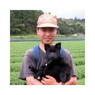 木下