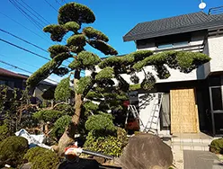 After