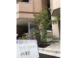 Before