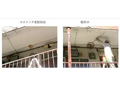 Before
