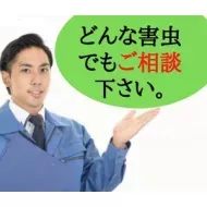 害虫駆除店長さん