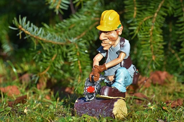 伐採の目的ってなに？自然破壊ではない本当の役割をご紹介
