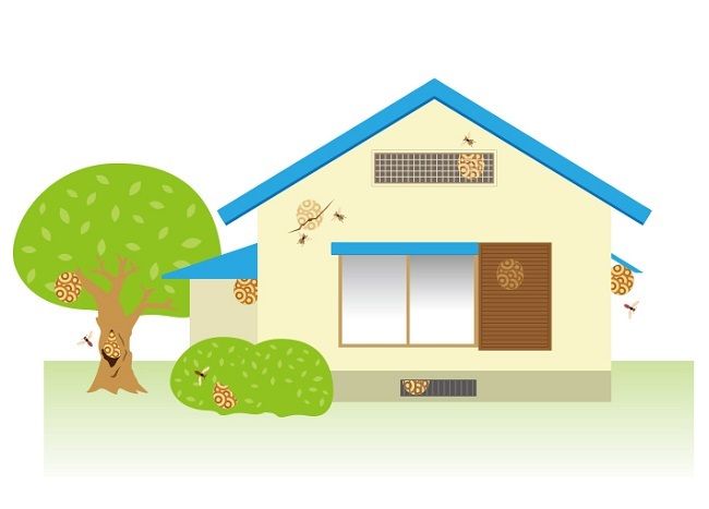 蜂の巣ができやすい家ってどんな家？