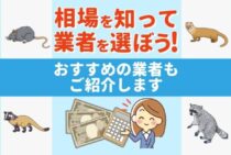 害獣駆除の料金相場がひと目でわかる！種類別費用とおすすめ業者を紹介