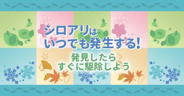シロアリの活動時期は1年中｜羽アリの発生時期や駆除の方法もご紹介