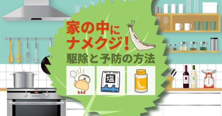 予期せぬ来訪者ナメクジの発生原因とは？室内に侵入する嫌な虫を撃退｜ナメクジの大量発生の原因は環境？駆除と予防法を再確認