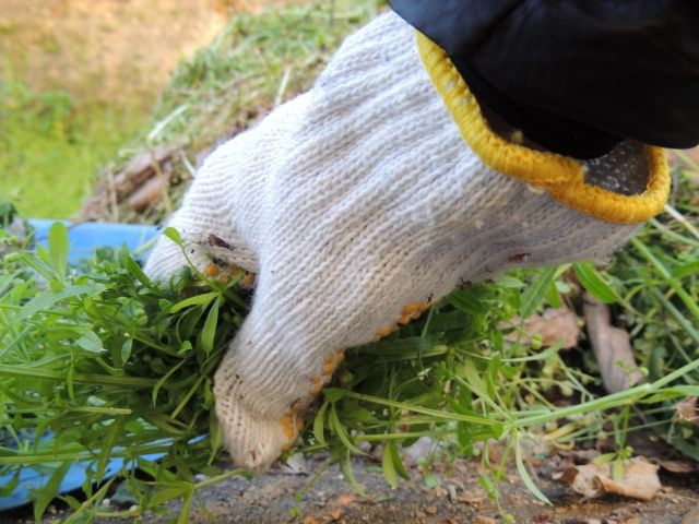 手軽に行える方法