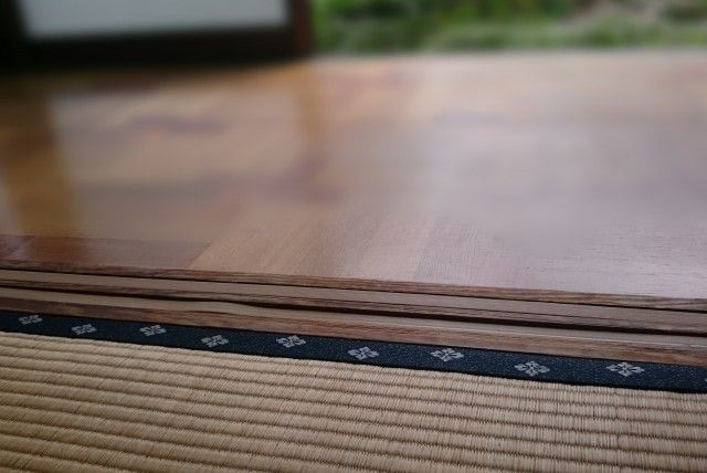 シバンムシってなに?放置すると大量発生する害虫の駆除方法