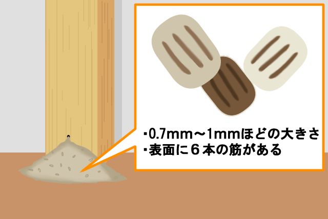 1.木くずのようなふんが落ちている
