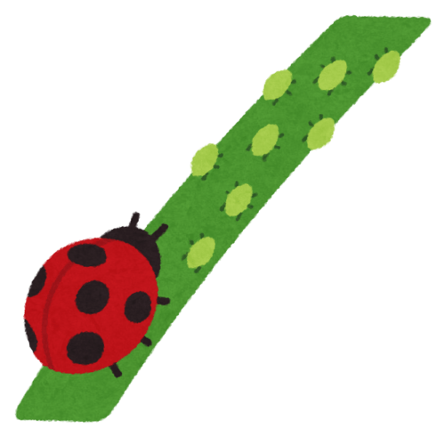 観葉植物に寄生虫が！寄生虫の防止方法と虫の種類別対策方法について