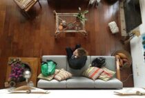 シバンムシってなに？放置すると大量発生する害虫の駆除方法