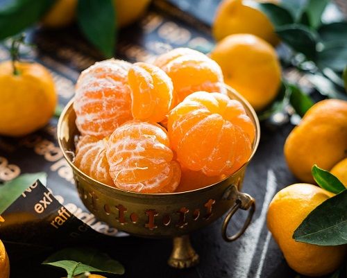 鉢植えOK!常緑樹のみかんで見た目もおいしい家庭菜園のコツ