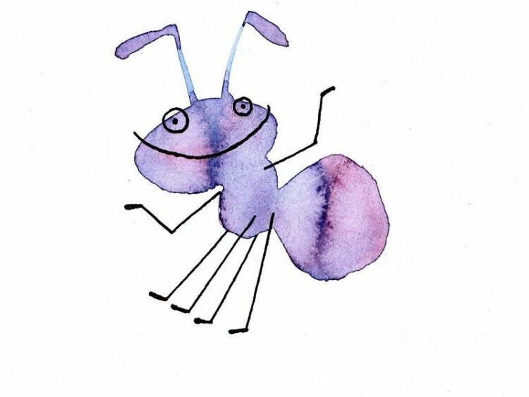 小さいけど凶暴なルリアリの特徴