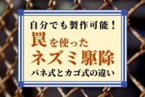 ネズミを罠で簡単捕獲！有効なトラップ設置場所とタイミングも詳しく解説