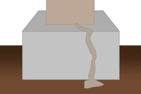 シロアリの蟻道