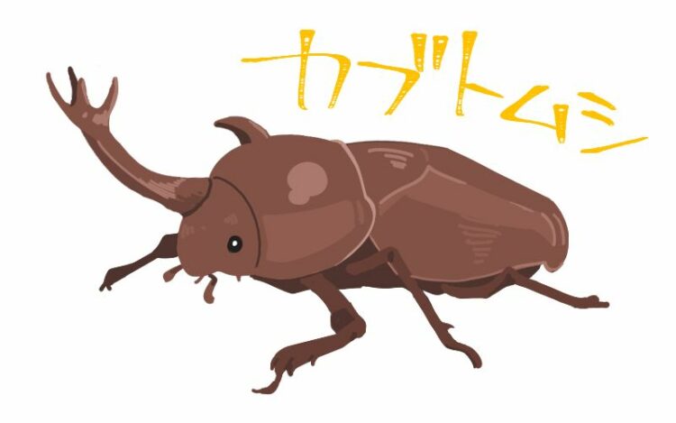 シマトネリコを狙うハマキムシには特に要注意