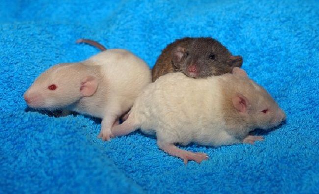 一部屋だけ対策しても意味がない？