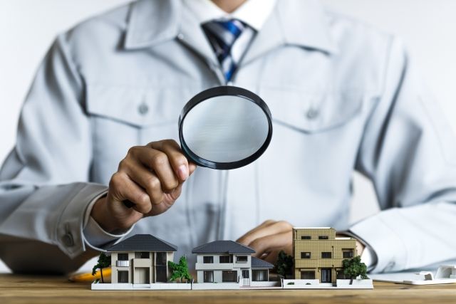 業者による駆除なら早めに解決できる