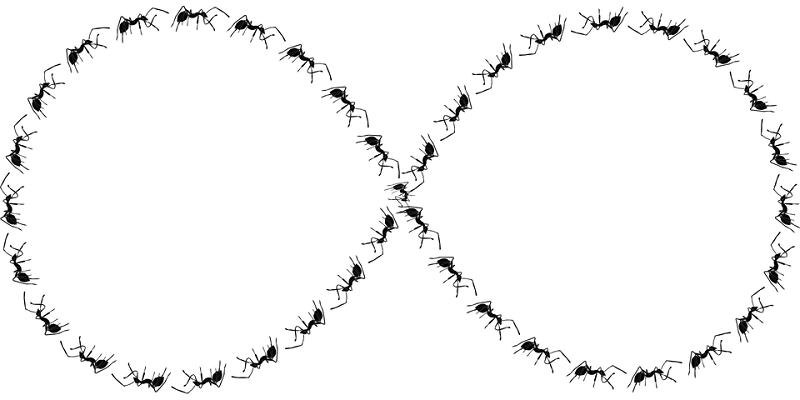 蟻道はシロアリがいるサイン？見つけたらシロアリがいるか確認しよう