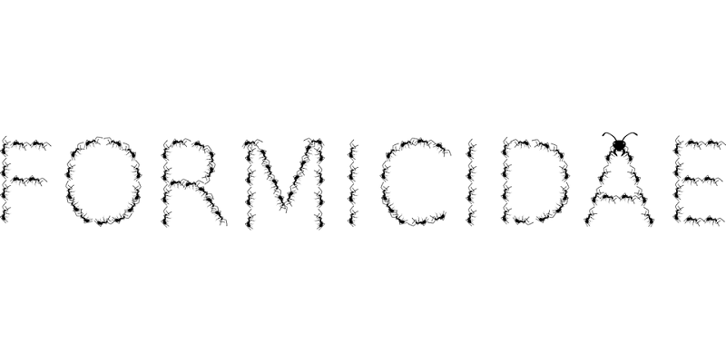 蟻の退治は巣を見つけることから！家や庭の蟻を退治する方法