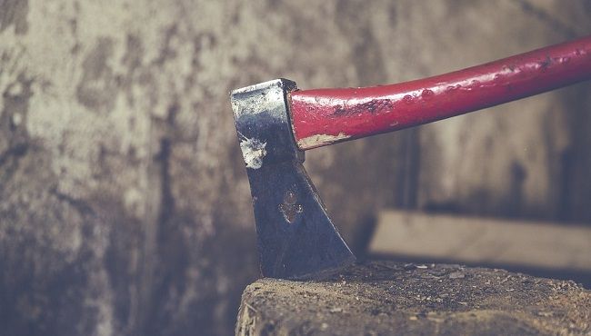 安全に竹を伐採する方法