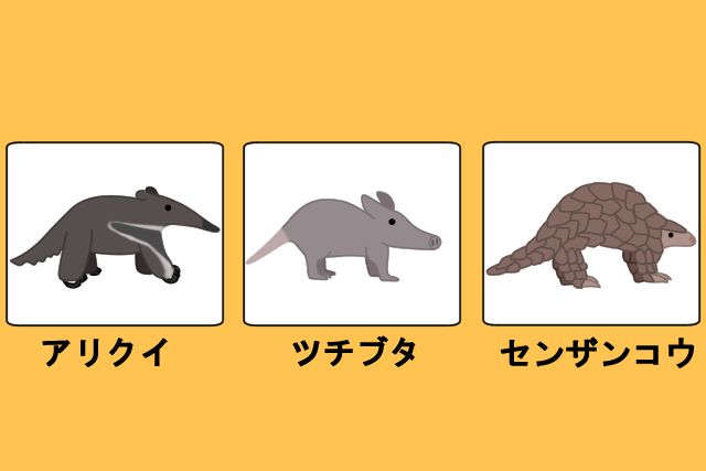 こんな生物もシロアリを捕食する