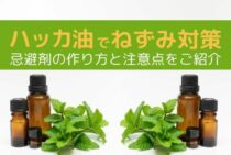 ねずみにはハッカ油が有効？忌避剤の生成と他の有効策も紹介します