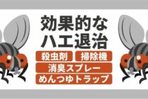 飛び回るハエをどうにかしたい！ハエ退治・駆除の方法をご紹介！