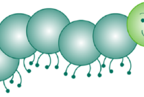 自宅がムカデの産卵場所になるかも？そうなる前にムカデ対策を！