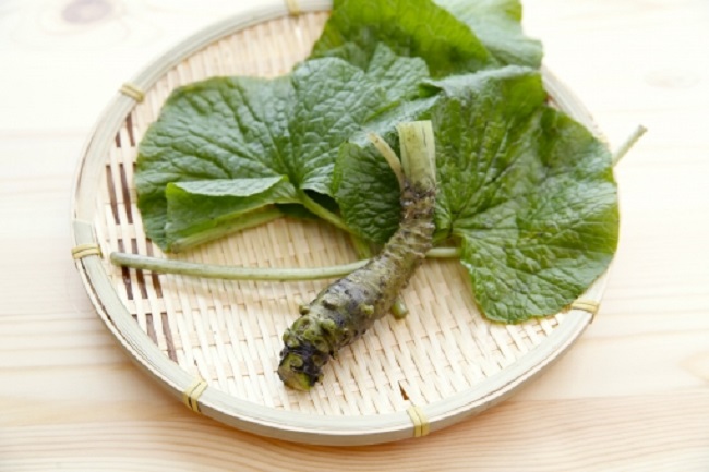 ねずみが嫌う臭いとは？臭いでねずみを追い出そう