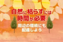 木を枯らす方法は2パターン！木の根っこを腐らせる方法も解説