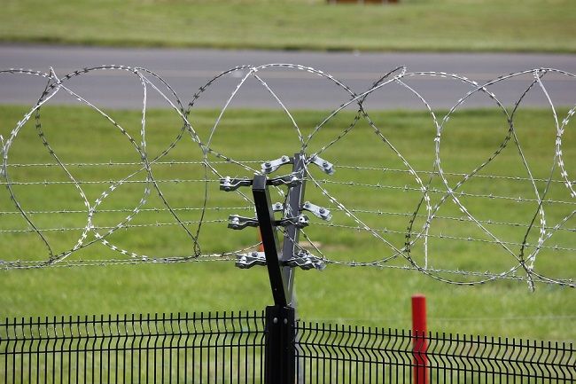 イタチ対策で効果的なのは侵入させないこと