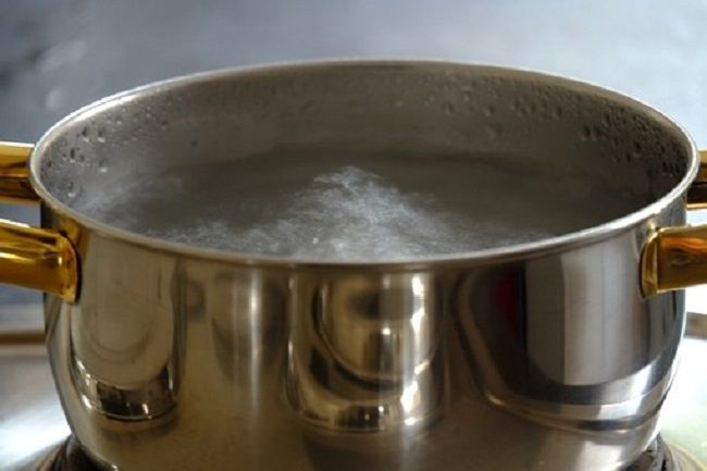 ムカデが家に現れたらどんな対処をすればいいの？