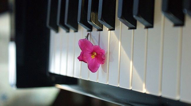 ピアノクリーニングを頼むならいつがいい？