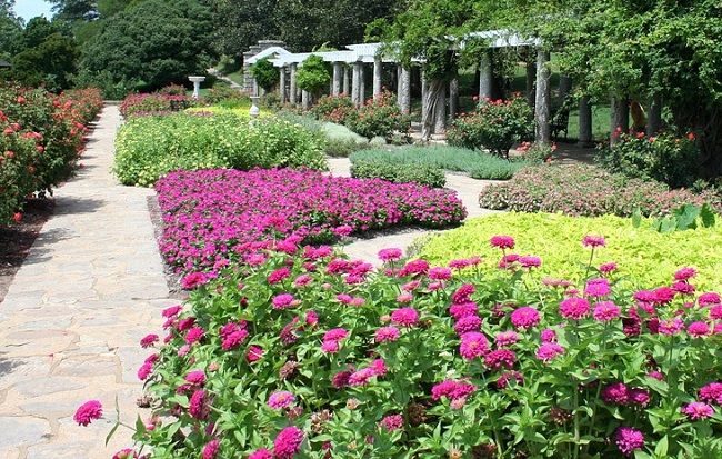 ピンコロ石のDIYに向いている場所