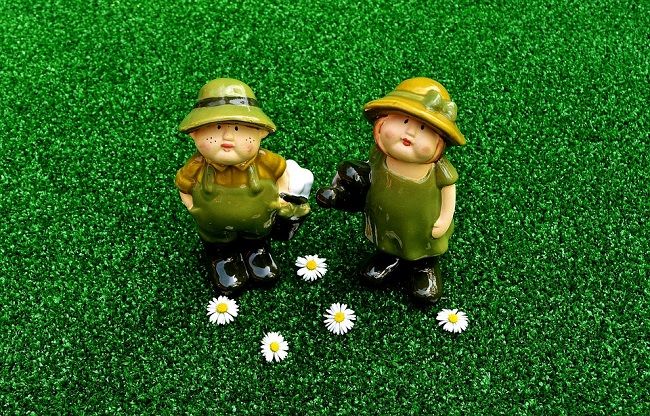 『アリ植物』とはどんな植物？