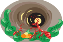 アルゼンチンアリの駆除も徹底的に！恐怖はヒアリだけじゃない