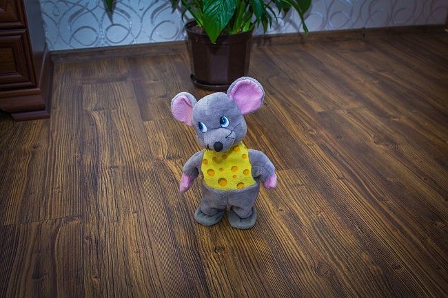 なんでネズミはハムスターと違って嫌われるの？