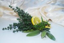 ねずみ対策にはハーブが効果的！ハーブやアロマでねずみを駆除しよう