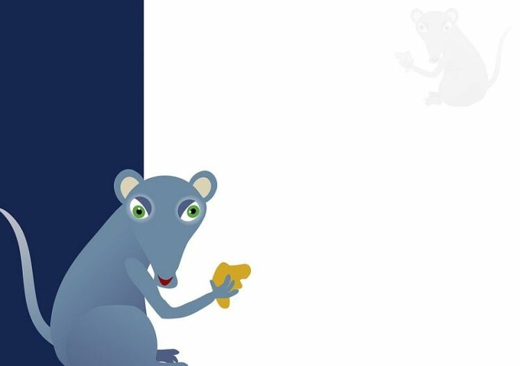 殺鼠剤の悲劇。ネズミの死骸はどこへ…死骸はほっといて大丈夫なの?