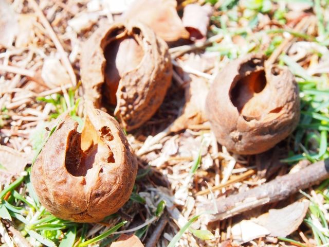 「まだ大丈夫」は危険！対策遅れのリスク
