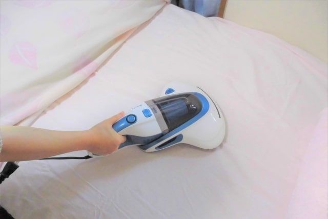 害虫を予防するには掃除が効果的！
