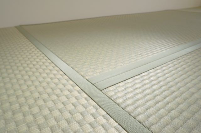 害虫が発生しにくい畳で対策しよう