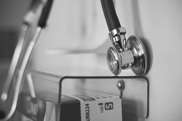 実際にあったコウモリの怖い話…コウモリに噛まれて死亡した事件について