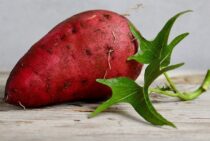 ドウガネブイブイの幼虫による被害の実態！駆除方法を紹介します