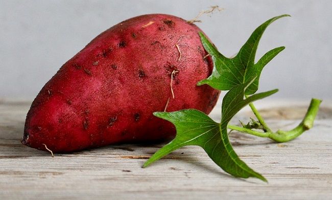 ドウガネブイブイの幼虫による被害の実態！駆除方法を紹介します