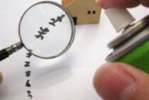 マンションでもシロアリの被害を受ける！油断せず対策しよう！