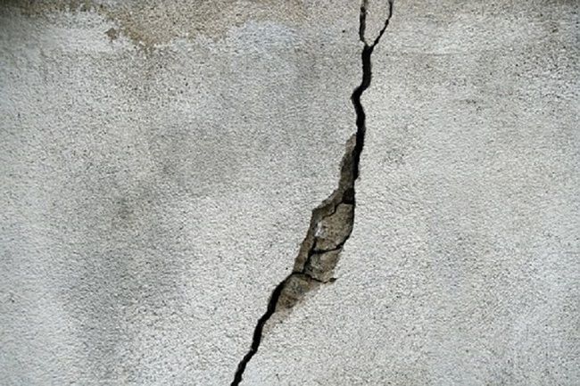 油断禁物！シロアリ被害はマンションでも