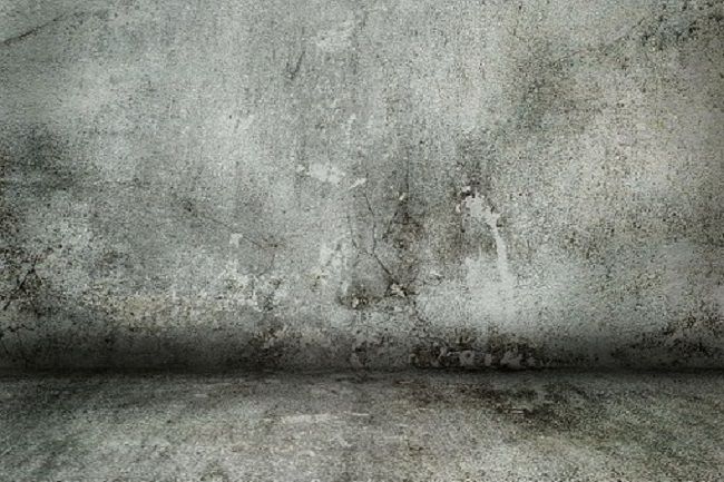 ンクリートガレージの劣化につながる原因とメンテの仕方