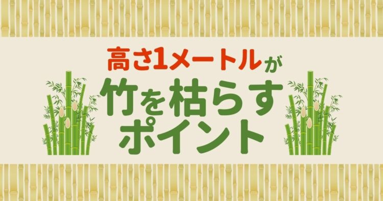 全滅させる竹の切り方とは?切る位置と時期を抑えて竹を駆除しよう
